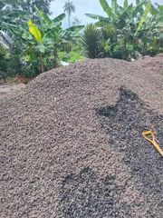 Palm kernel shell - Image 1