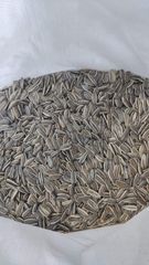Pulses Zinc 5.5 Mg Iron 4.85 Mg Sodium 0.004 G Calcium 96.8 Mg Magnesium 337.8 Mg Ash 3.41 % +- 0.26 Vitamin B1 862.5 Μg - Image 1
