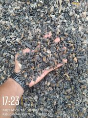 Palm Kernel Shell - Image 1