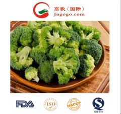 Superior Frozen Broccoli - High Quality Green Vegetable HS Code 0710809090 Production Capacity 2000 Mts Transport Package - Image 2