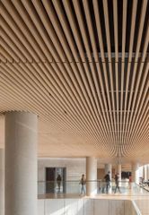 Metal False Ceiling Service Service Location Kerala Location Type Commercial Service Mode Online/Offline Service Type Metal False Ceiling - Image 11