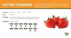 Product thumbnail 12
