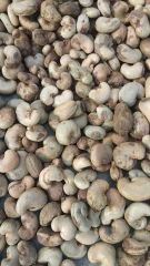 PREMIUM QUALITY CHEAP RAW CASHEW NUTS IN SHELL WHOLE SALE. WHATSAP +255787979235 FOR MORE DETAILS - Image 1
