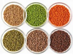 LENTILS – product photo 2, product detail gallery