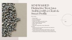 ndonesian Specialty Arabica Green Coffee Beans – West Java Full Washed - Image 3