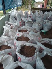 Palm Kernel Meal – product photo 3, product detail gallery
