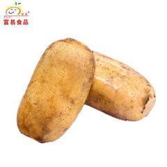 Chinese Fresh vegetables Supplier, Lotus Root with High Quality - Image 1