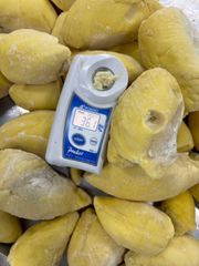 Frozen Monthong Durian, Grade A (Seedless) - Image 3