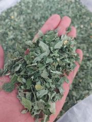 Pure Moringa Natural Leaf Powder - Natural Dried - Image 2