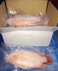 Good Nature Frozen Fish Red Tilapia Gutted Scaled From Vietnam for export - Image 4