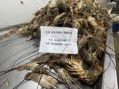 Frozen Lobster Whole - Image 3