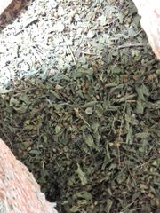 Dried Krishna Tulsi Leaf Grade FOOD Color GREEN Packaging HDPE Digestion Aid Yes Max. Moisture (%) 8% Shelf Life 24 MONTHS - Image 1