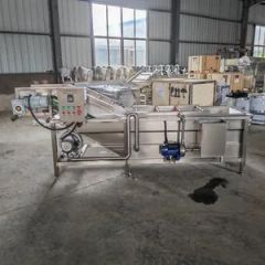 Automatic Food Processing Line Fruit Vegetable Bubble Cleaning Machine - Image 3