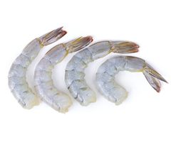 Frozen Common Shrimp & Prawn