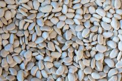 Wholesale Price Supplier of Large Lima Beans Bulk Stock With Fast Shipping Wholesale Supplier of Bulk Fresh Stock of Lar - Image 1