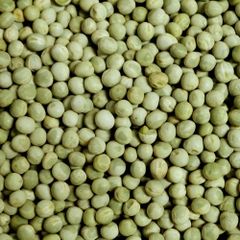 CHICKPEAS - Image 1