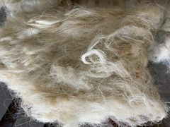Sisal Fibre Supplier for UG Sisal Fiber for Sale at wholesale prices and in bulk quantities Whatsap +255787979235 - Image 5