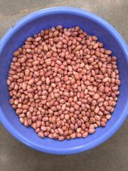 Peanut TJ 80/90 50/60 - Image 1