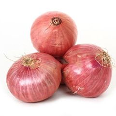 Wholesale Fresh Onion Yellow, Red And White of various sizes packed in 10/15/20 kg mesh bags at affordable prices - Image 2