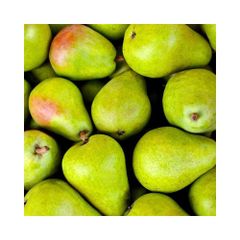 Premium Fresh Pears Available at Wholesale Price - Image 3
