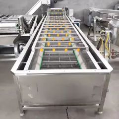 304 Stainless Steel Bubble Vegetable Fruit Washer Automatic Cleaning Machine for Food Processing Industry - Image 6