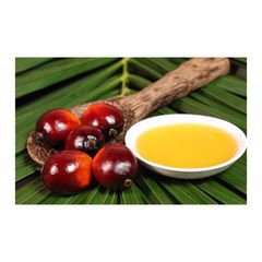 Top Quality Pure Kitchen Condiments Press Refined Plant Cooking Sludge RBD Palm Oil - Image 2