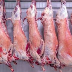 Mutton meat carcass Age Range 12 To 20 - Image 1