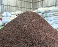 Whole Clove - Image 5