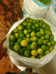 Lemon – product photo 4, product detail gallery