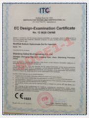 SDCE1-1 certificate from SHANGHAI REYOUNGEL MEDICAL TECHNOLOGY COMPANY LIMITED