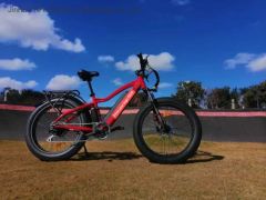 Wholesale Fat Tire Mountain Electric Bike with Disc Brake 750W High Power E-Bike - JinHua YiFei Electric Technology Co., Ltd.