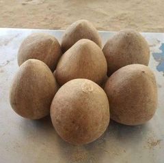 Premium Dry Coconut – product photo 1, product detail gallery