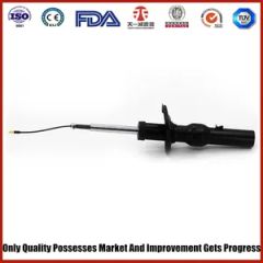Air Suspension for Porsche 981 Rear - Linyi Tianyi Shock Absorber Co., Ltd.