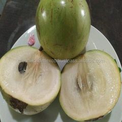 HOT SALE WITH STAR APPLE- BEST PRICE FOR HOLIDAY Grade A Type Apple Style Fresh Color Other Brand Name GW Weight (kg) 1 Variety - Image 1