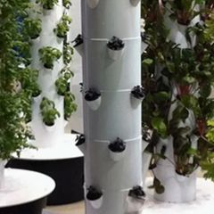 Automated-Irrigation Hydroponics Tower System for Intelligent Greenhouse Growth - Image 5