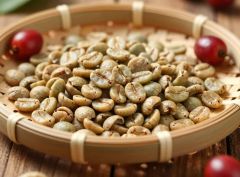 Premium Arabica and Robusta Coffee Beans – product photo 1, product detail gallery