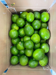 Seedless Lime – product photo 4, product detail gallery
