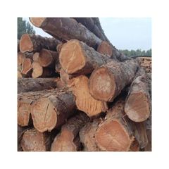 Fine finish round logs available in volume  - Image 2