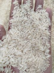 ALL TYPE OF BASMATI AND NON BASMATI - Image 1