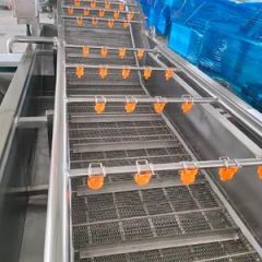 Industrial Vegetable and Fruits Pretreatment Processing Machine Bubble Cleaning Equipment - Image 4