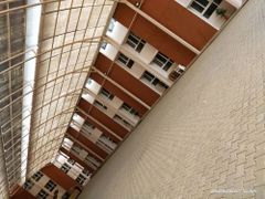 Commercial Building Painting Work Finish All Paint Type All Property Type All Service Area Both Working Shift 24x7 Service Includes - Image 2