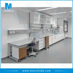 School Chemistry Lab Bench with Reagent Shelf Condition New Model NO. LFLB Guarantee 2 Years Trademark MonchiLab Customized - Image 2