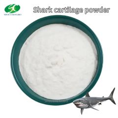 Common Shark Cartilage Extract Powder Low Price - Image 2