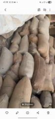 Cocoa Beans - Image 2