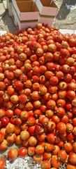 Pomegranates - Image 1