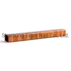 Carton Staple (SB103020) for Packing - Image 4