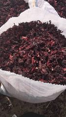 Hibiscus, Nigeria premium Hibiscus Dry Flower – product photo 2, product detail gallery