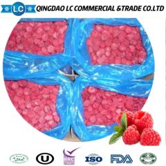 Frozen Raspberry Brokens, Frozen Raspoberries Brokens, IQF Raspberries Brokens, IQF Raspberry Brokens, Frozen Raspberry Crumbles, IQF Raspberries Crumbles - Image 1