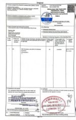 Form E certificate of Adicen Group Limited – certificate photo, supplier certificates section