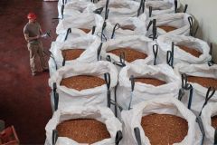 Buy Almond Nuts Online | Premium Raw & Roasted California Almonds Online – Wholesale & Bulk Orders - Image 4